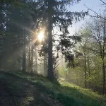 Апартаменты Hainberg Rauschenbach