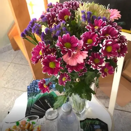 شقة Hainberg Rauschenbach