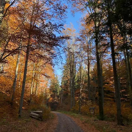 Hainberg شقة Rauschenbach