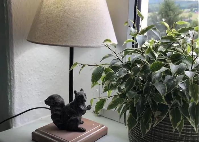 Hainberg Апартаменты *