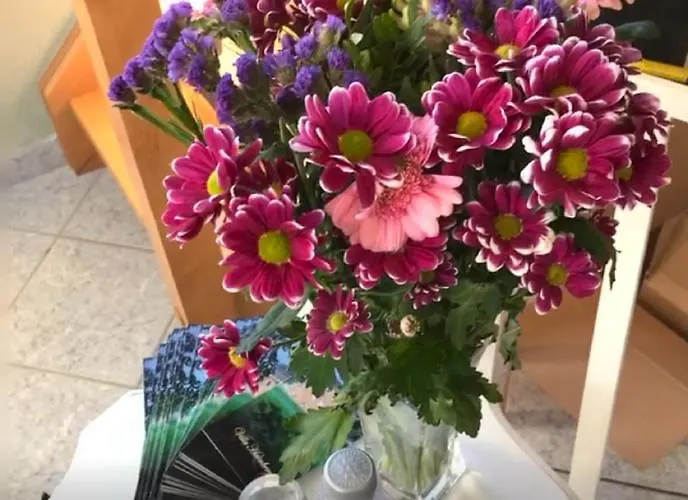 Апартаменты Hainberg Rauschenbach