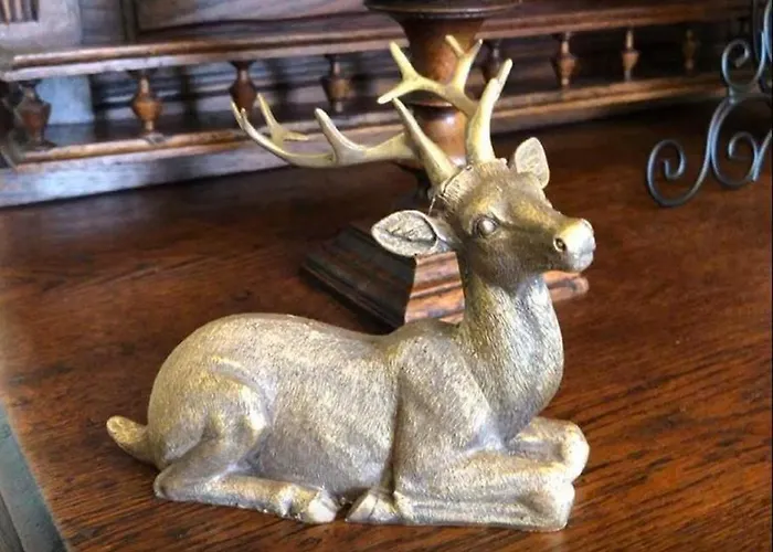 Hainberg Апартаменты