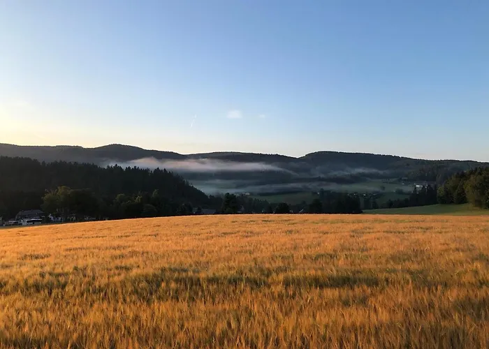 Hainberg Апартаменты