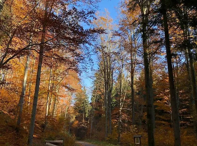 Hainberg Апартаменты Rauschenbach