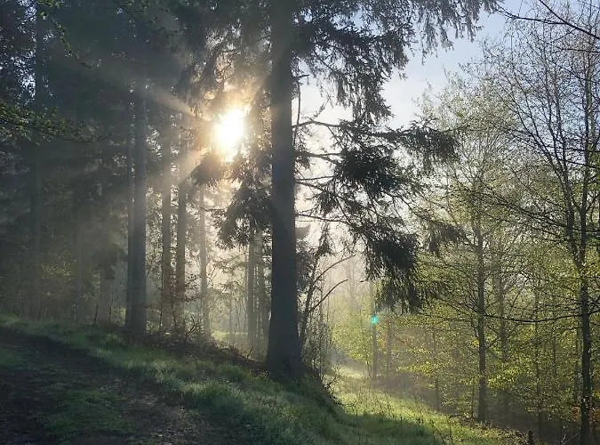 Апартаменты Hainberg Rauschenbach