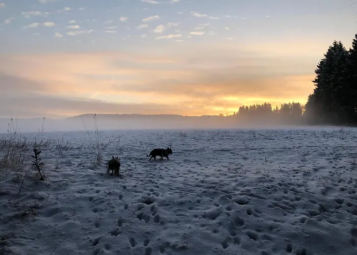 Hainberg Rauschenbach